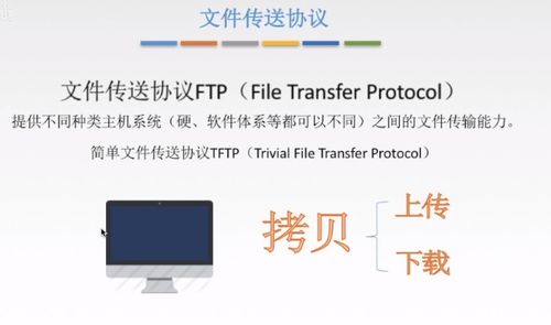 计算机网络应用层 CS模型、P2P模型及关键协议解析